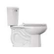 Colony(R)3 1.6 gpf/6.0 Lpf 12-Inch Rough Tank, 4425A004.020