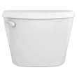 Colony(R)3 1.6 gpf/6.0 Lpf 12-Inch Rough Tank, 4425A004.020
