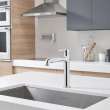 Studio(R) S Pull-Out Dual Spray Kitchen Faucet, 4803100.002