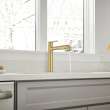 Studio(R) S Pull-Out Dual Spray Kitchen Faucet, 4803100.GN0