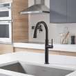 Studio(R) S Pull-Down Dual Spray Kitchen Faucet 1.5 gpm/5.7 L/min, 4803300.243