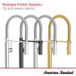 Studio(R) S Semi-Pro Pull-Down Dual Spray Kitchen Faucet With Spring Spout, 4803350.075