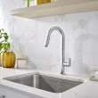 Beale(R) Single-Handle Pull-Down Dual Spray Kitchen Faucet 1.5 gpm/5.7 L/min, 4931300.002