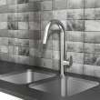 Beale(R) Single-Handle Pull-Down Dual Spray Kitchen Faucet 1.5 gpm/5.7 L/min, 4931300.002