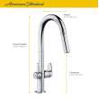 Beale(R) Single-Handle Pull-Down Dual Spray Kitchen Faucet 1.5 gpm/5.7 L/min, 4931300.075