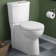 Dual-Flush Elongated 2-Piece Toilet with Concealed Trapway, Seat, and 12-in Rough-In