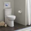 Dual-Flush Elongated 2-Piece Toilet with Concealed Trapway, Seat, and 12-in Rough-In