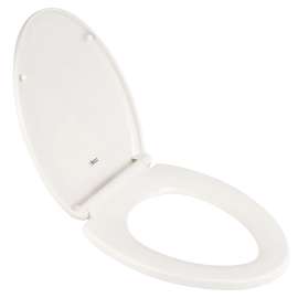 Traditional Slow-Close & Easy Lift-Off Elongated Toilet Seat, 5020A65G.020