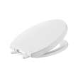 Telescoping Slow-Close Easy Lift-Off Elongated Toilet Seat, 5025A65G.020