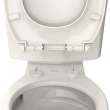 Contemporary Slow-Close & Easy Lift-Off Round Front Toilet Seat, 5055B65PT.020