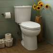 Cardiff Slow-Close Elongated Toilet Seat, 5257A65MT.020