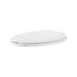 Cardiff Slow-Close Elongated Toilet Seat, 5257A65MT.020