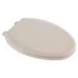Cardiff Slow-Close Elongated Toilet Seat, 5257A65MT.021