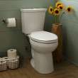 Cardiff Slow-Close Round Front Toilet Seat, 5259B65MT.020