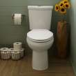 Cardiff Slow-Close Round Front Toilet Seat, 5259B65MT.020
