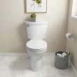 Champion(R) Slow-Close & Easy Lift-Off Round Front Toilet Seat, 5320B65CT.020