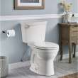 Champion(R) Slow-Close & Easy Lift-Off Elongated Toilet Seat, 5321A65CT.020