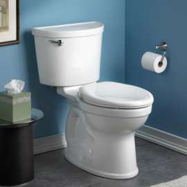 Champion Pro 1.28 GPF 2-Piece Elongated Toilet With 12-In Rough-In