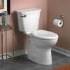 Cadet Pro 1.28 GPF 2-Piece Elongated Toilet With 10-In Rough-In