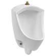 Pintbrook(R) 0.125 - 0.5 gpf (0.47 - 1.9 Lpf) Top Spud Urinal, 6002001.020