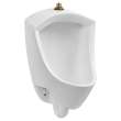 Pintbrook(R) 0.125 - 0.5 gpf (0.47 - 1.9 Lpf) Top Spud Urinal, 6002001.020