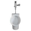 Decorum(R) 0.125 gpf/0.47 Lpf Top Spud Urinal With EverClean(R), 6042001EC.020