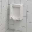 Washbrook 0.125 -1.0 gpf (0.47 - 3.8 Lpf) Back Spud Urinal, 6515001.020