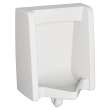 Washbrook 0.125 -1.0 gpf (0.47 - 3.8 Lpf) Back Spud Urinal, 6515001.020