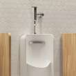 Greenbrook(R) 0.125 - 0.5 gpf (0.47 - 1.9 Lpf) Back Spud Urinal With EverClean(R), 6517001EC.020