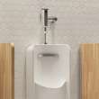 Greenbrook(R) 0.125 - 0.5 gpf (0.47 - 1.9 Lpf) Back Spud Urinal With EverClean(R), 6517001EC.020