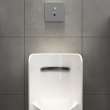 Greenbrook(R) 0.125 - 0.5 gpf (0.47 - 1.9 Lpf) Back Spud Urinal With EverClean(R), 6517001EC.020