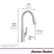 Copley(R) Pull-Down Kitchen Faucet With Soap Dispenser, 7032300.075