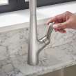 Copley(R) Pull-Down Kitchen Faucet With Soap Dispenser, 7032300.075