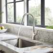 Copley(R) Pull-Down Kitchen Faucet With Soap Dispenser, 7032300.075