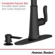 Northport(R) One-Handle Pull-Down Kitchen Faucet With Soap Dispenser, 7035300.243