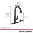 Northport(R) One-Handle Pull-Down Kitchen Faucet With Soap Dispenser, 7035300.243