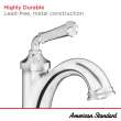 Delancey(R) Single Hole Single-Handle Bathroom Faucet 1.2 gpm/4.5 L/min With Lever Handle, 7052107.295