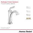 Delancey(R) Single Hole Single-Handle Bathroom Faucet 1.2 gpm/4.5 L/min With Lever Handle, 7052107.GN0