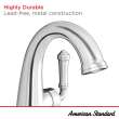 Delancey(R) Single Hole Single-Handle Bathroom Faucet 1.2 gpm/4.5 L/min With Lever Handle, 7052121.002