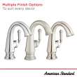 Delancey(R) Single Hole Single-Handle Bathroom Faucet 1.2 gpm/4.5 L/min With Lever Handle, 7052121.013