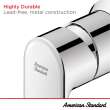 Aspirations Single-Handle Bathroom Faucet 1.2 gpm/4.5 L/min With Lever Handle, 7061101.243