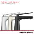 Aspirations Single-Handle Bathroom Faucet 1.2 gpm/4.5 L/min With Lever Handle, 7061101.295