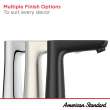 Aspirations Single-Handle Pull-Out Bathroom Faucet 1.2 gpm/4.5 L/min With Lever Handle, 7061121.002