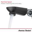 Aspirations Single-Handle Pull-Out Bathroom Faucet 1.2 gpm/4.5 L/min With Lever Handle, 7061121.002