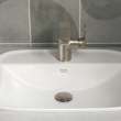 Aspirations Single-Handle Pull-Out Bathroom Faucet 1.2 gpm/4.5 L/min With Lever Handle, 7061121.295