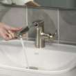 Aspirations Single-Handle Pull-Out Bathroom Faucet 1.2 gpm/4.5 L/min With Lever Handle, 7061121.295