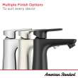 Aspirations Single-Handle Petite Bathroom Faucet 1.2 gpm/4.5 L/min With Lever Handle, 7061131.243