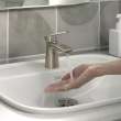 Aspirations Single-Handle Petite Bathroom Faucet 1.2 gpm/4.5 L/min With Lever Handle, 7061131.295