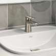 Aspirations Single-Handle Petite Bathroom Faucet 1.2 gpm/4.5 L/min With Lever Handle, 7061131.295