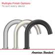 Aspirations 8-Inch Widespread 2-Handle Bathroom Faucet 1.2 gpm/4.5 L/min With Lever Handles, 7061801.295